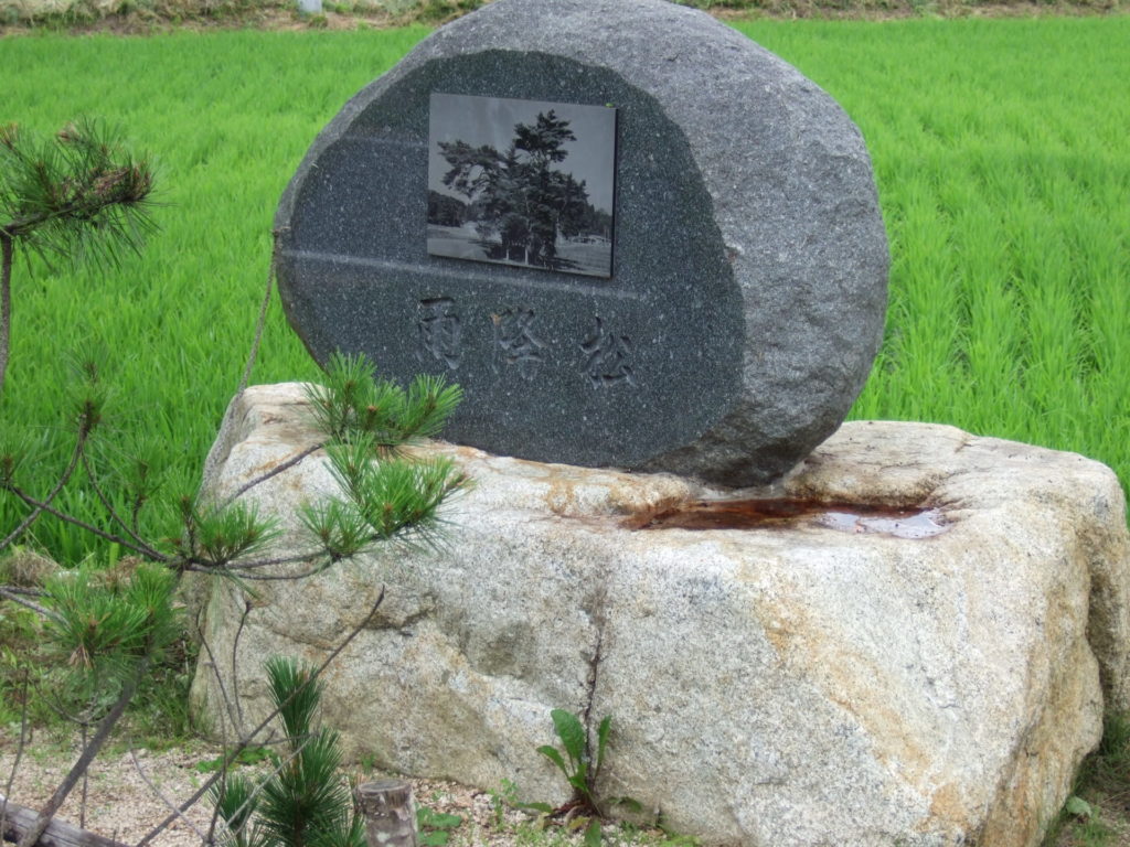 羅漢の店 水野石材店 記念碑 雨降り松1